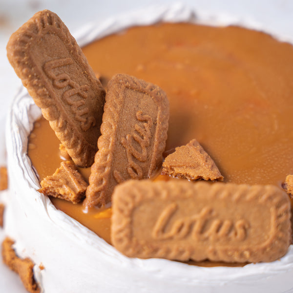 Lotus Biscoff Cake