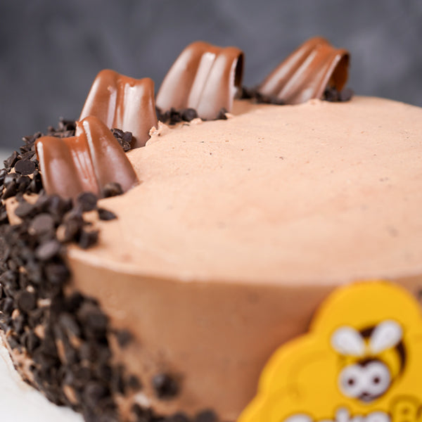 Choco Chip Cake