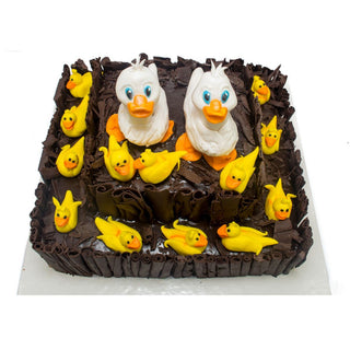 Ducks Unlimited Cake