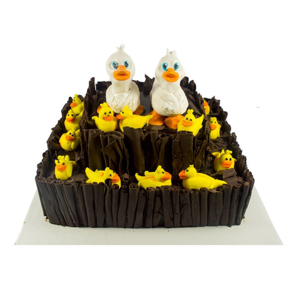 Ducks Unlimited Cake