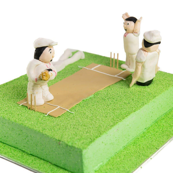 Cricket Pitch & Players Cake
