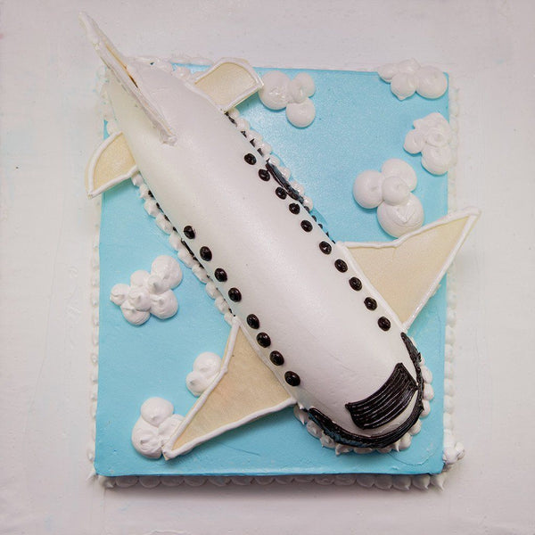 Fly in the sky - Aeroplane cake