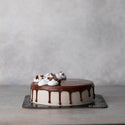Swiss Chocolate Cake Cakes Shop Cake-Bee