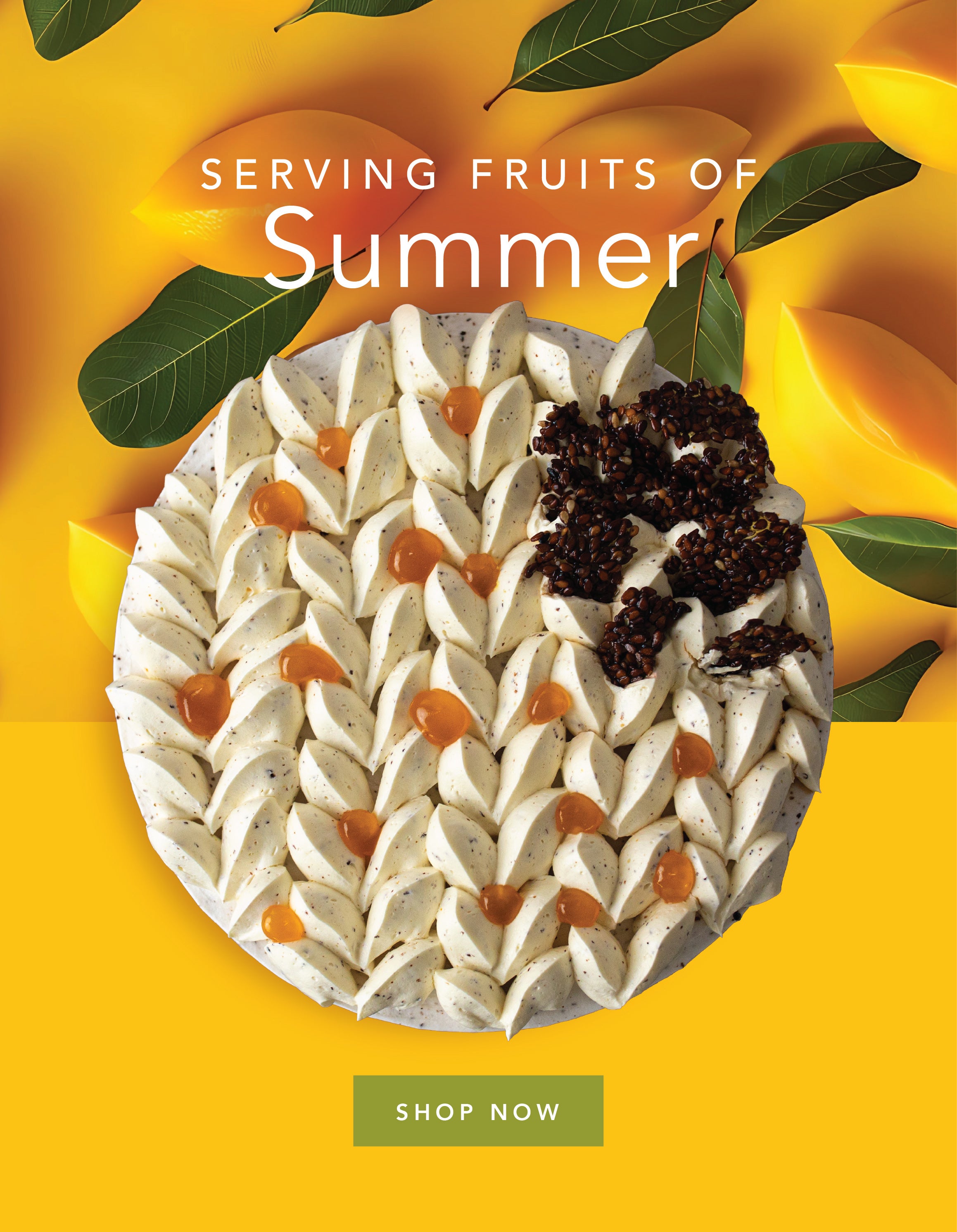 Mini banners 02 29506dc1 4303 41f0 8c68 55b2d0809e31