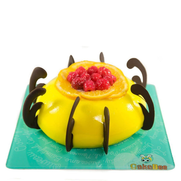 Marine Silicone Fondant Cake Decorating Mold Chocolate Candy Soap Resin Clay  Mold - China Silicone Cake Mold and Fondant Decorating Mold price |  Made-in-China.com