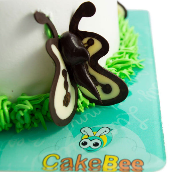 Butterfly Paradise Cake