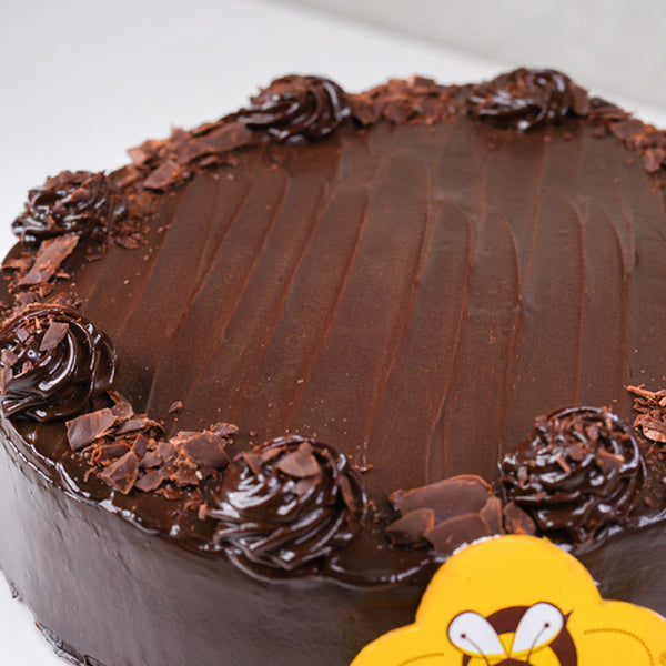 Rich Belgian Chocolate Cake – Gelato Vinto