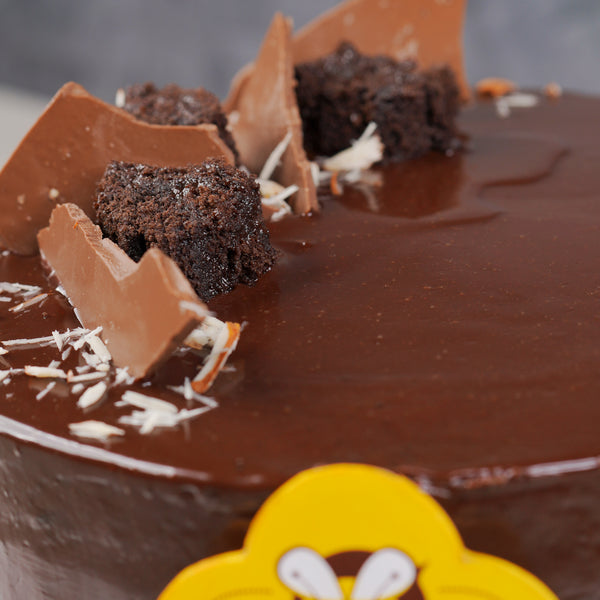 Chocolate Bliss Cake | Signature Cakes | Local Delivery | Sweet Traders
